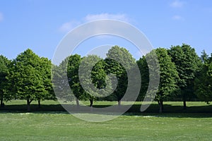 Landscape of green grass field with beautiful blue sky in hot sunny day, Beautiful view day time view at countryside in England in