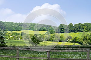 Landscape of green grass field with beautiful blue sky in hot sunny day, Beautiful view day time view at countryside in England in