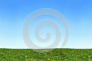 Landscape of green grass hill and blue sky