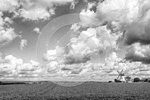 Landscape with green grass and windmill