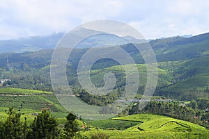 Landscape with Green Hills and Natural Beauty in Munnar, Idukki, Kerala, India