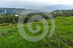 Landscape with green hills at Vitosha Mountain, Sofia City Region, Bulgaria