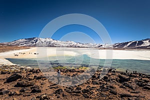 Landscape of the Green Lagoon in Eduardo Avaroa National Park, Bolivia