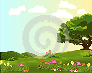 Landscape of green meadow with colourful flowers