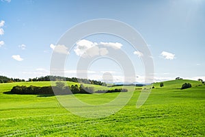 Landscape green meadow pasture in Germany, Baden-Wurttenberg