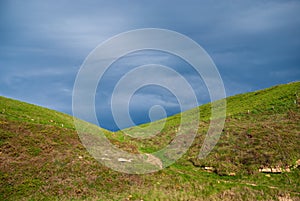 Landscape of green meadows at sunset with stormy blue sky