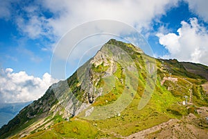 Landscape of green mountain peak in summer