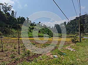 Landscape of green mountain scenery