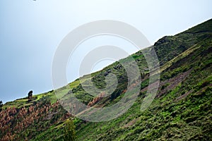 Landscape of a green mountain sunny in HuascarÃ¡n National Park