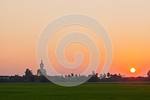 Landscape of green paddy field with big buddha image background at sunset