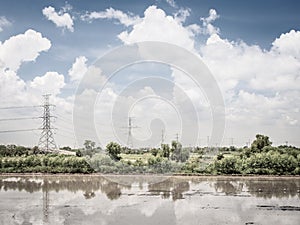 Landscape of green rice field and blue sky and clouds with reflection in water