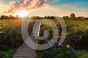 Landscape on a green Strandengen meadow. The bicycle stands near a wooden bridge that goes across the lake, overgrown