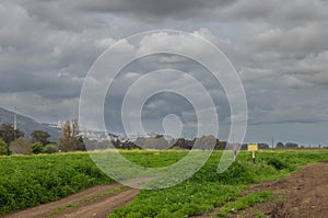 landscape with green trees and road against dramatic sky