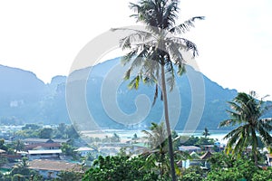 Landscape of green tropical island. Residential houses of local residents