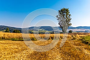 Landscape of green and yellow fields with small hills and blue sky and mountains