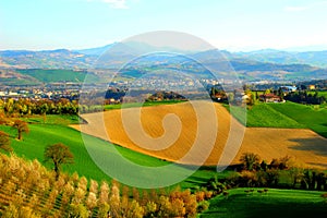 Landscape with green and yellow fields under the blue sky in Monte Vidon Corrado