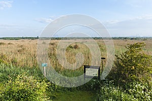 Landscape at Groene Strand