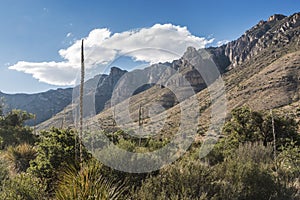 Landscape of Guadalupe Mountains National Park