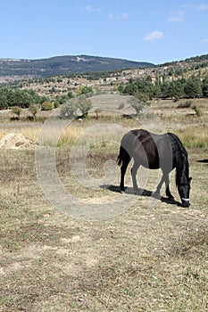Landscape in Gudar mountains,Teruel,Spain photo
