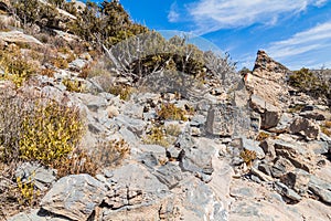 Landscape of Hajar Mountains, Oman. Markings of a hiking trail to the Jebel Shams, the tallest mountain of Oma