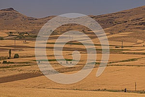 Landscape of Hamadan region of Ir photo