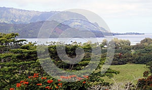 Landscape of Hanalei, Island of Kauai, Hawaii, United States