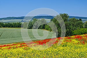 Landscape in Harz Mountains