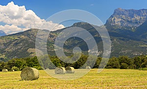 Landscape in Haute Provence