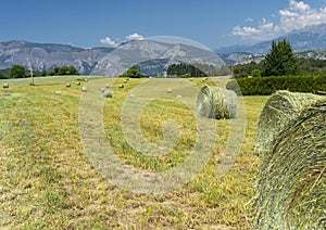 Landscape in Haute Provence