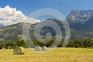 Landscape in Haute Provence