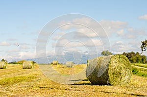 Landscape of hay bales.