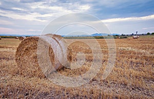 Landscape with hay roll