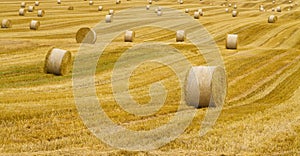 Landscape with hay roll