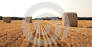 Landscape with hay roll