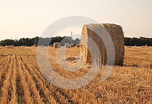 Landscape with hay roll