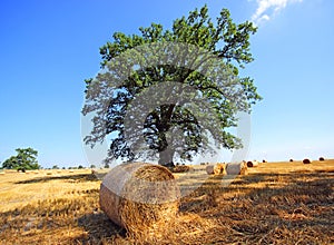 Landscape with hay roll