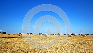 Landscape with hay roll