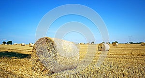 Landscape with hay roll