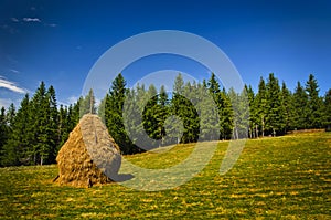 Landscape with hay stack