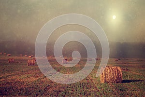 Landscape hayfield with hay rolls, sunrise photography