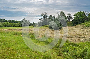 Landscape in haymaking time