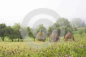Landscape with haystacks and misty mountains.