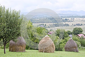 Landscape with haystacks and misty mountains.