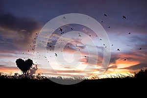 Landscape with heart shape tree