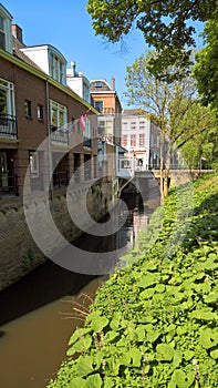 Landscape from Hertogenbosch