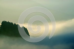 Landscape in high fog