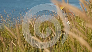 Landscape with high grass on seaside. little boy running along holds a toy kite over his head.