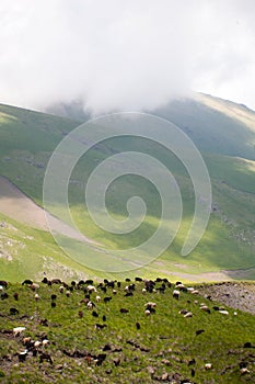 Landscape high mountains in dense fog tops of mountains in clouds North Caucasus Elbrus