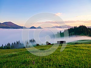 Landscape with high mountains. Fields and meados are covered with morning fog and dew. Sunrise. Forest of the pine trees. The