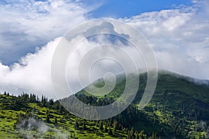 Landscape with high mountains. Foggy forest of the pine trees. Majestic summer day. The early morning mist. Free space for text.